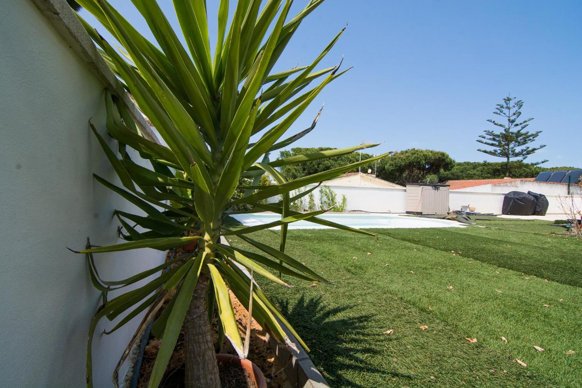 Chalet Individual En El Rompido Urb Urverosa Bagian luar foto